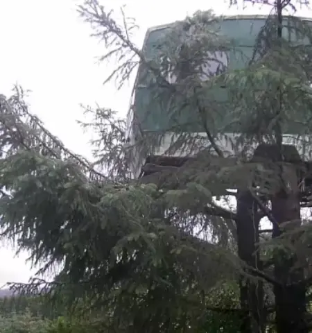 Picture This Bizarre Airbnb Has a 1960s Caravan Sitting 13 Feet Up a Tree