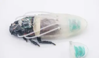Picture Scientists Develop a 3D-Printed Diving Suit that Lets Cyborg Cockroaches Breathe Underwater