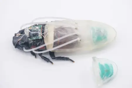 Picture Scientists Develop a 3D-Printed Diving Suit that Lets Cyborg Cockroaches Breathe Underwater