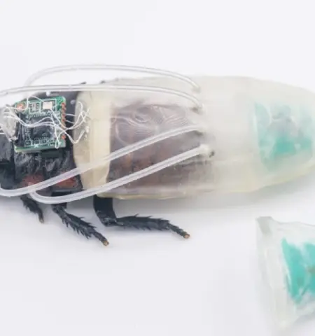 Picture Scientists Develop a 3D-Printed Diving Suit that Lets Cyborg Cockroaches Breathe Underwater