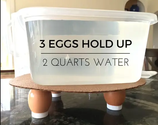 Eggshells