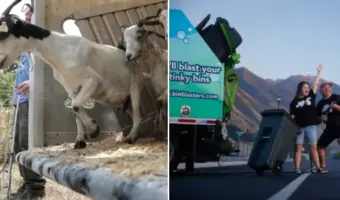 Picture 10 Businesses Built Around Things People Hate Doing