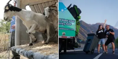 Picture 10 Businesses Built Around Things People Hate Doing