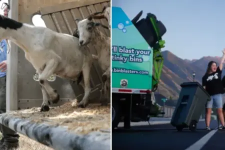 Picture 10 Businesses Built Around Things People Hate Doing