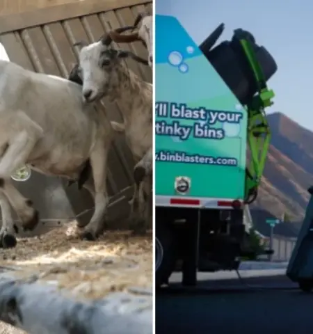 Picture 10 Businesses Built Around Things People Hate Doing