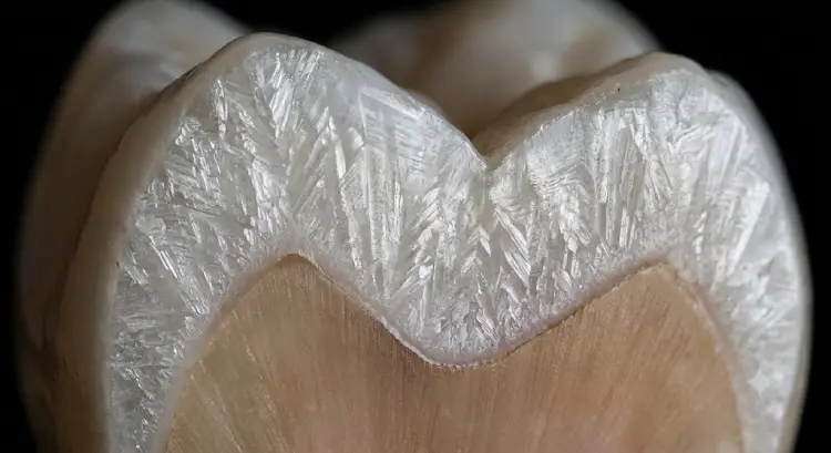 Tooth enamel tooth enamel